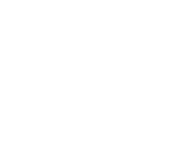 José do Brasil Signature